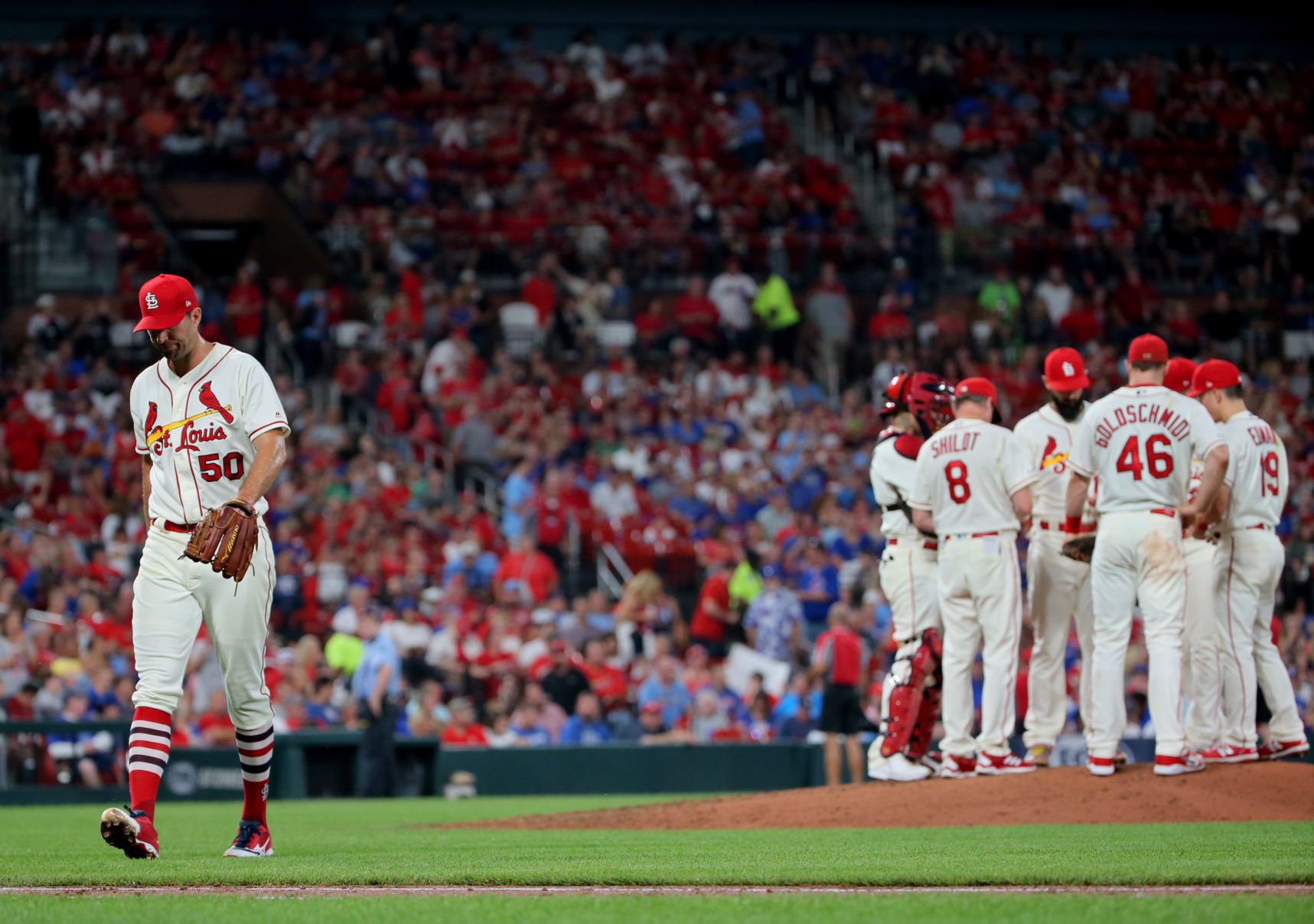 Chicago Cubs vs St. Louis Cardinals
